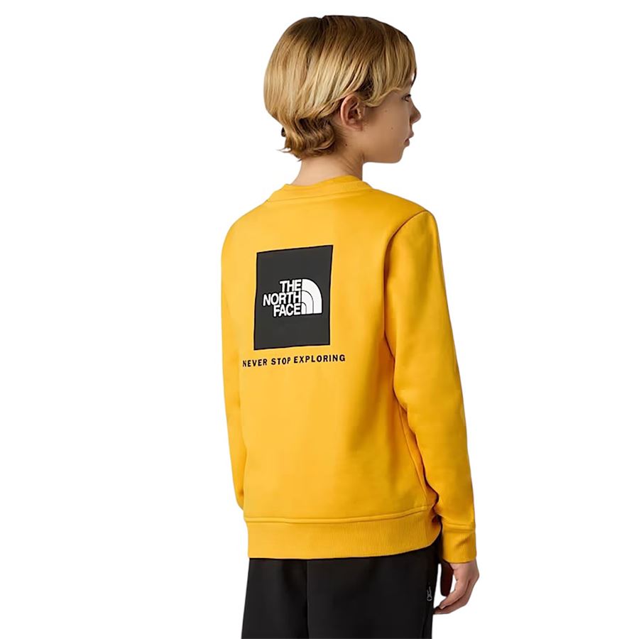  The North Face | NF0A89H756P